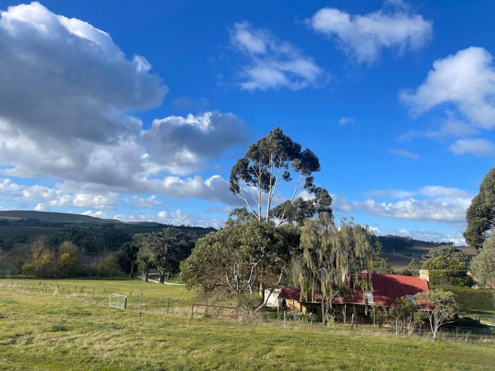 Penobscot Farm Cottage Watervale 外观 照片